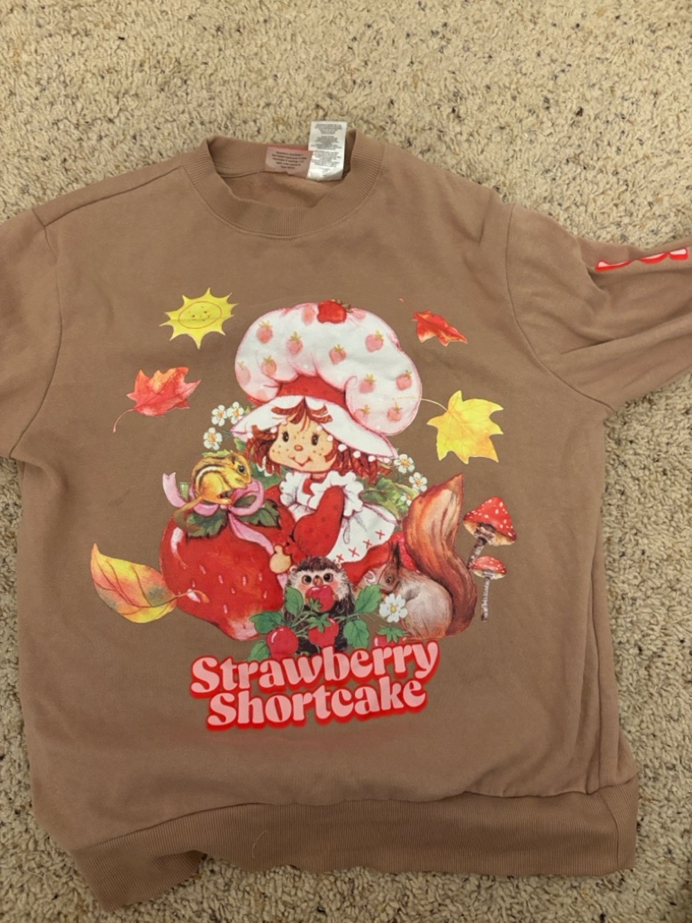 Strawberry Shortcake Sweater - Strawberry & Pink Print